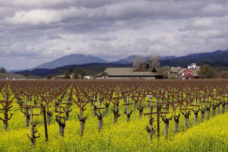 From San Francisco: Napa Valley Winery Tour - What’s Not Included in the Price