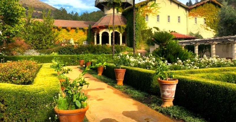 From San Francisco: Private Muir Woods and Napa Wine Tour - Discover the Private Muir Woods and Napa Wine Tour from San Francisco