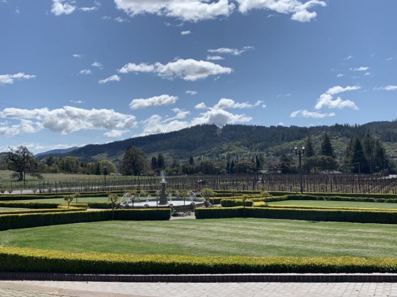 From San Francisco: Private Muir Woods and Napa Wine Tour - Scenic Drive from San Francisco to Muir Woods