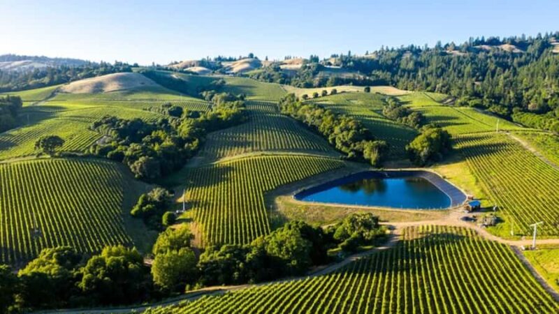 From San Jose: Small Group Napa & Sonoma Valley Wine Tour - Visiting Napa Valley Landmarks: Castello di Amorosa