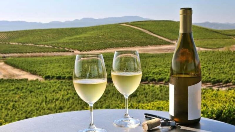 From San Jose: Small Group Napa & Sonoma Valley Wine Tour - Flexibility with Booking and Cancellation Policies