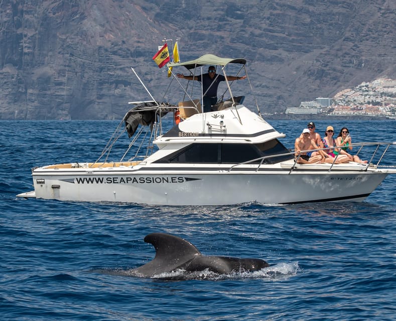 From San Juan beach : Marine Life Cruise - The Expertise of the Captain and Crew