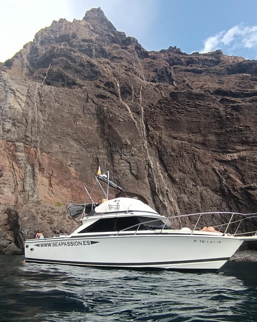 From San Juan beach : Marine Life Cruise - Visiting Tenerife’s Marine Wonders: Final Thoughts