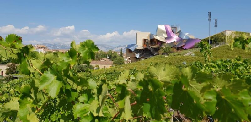 From San Sebastian/Bilbao/Vitoria: La Rioja Wineries Tour - Visiting Two Unique Wineries in La Rioja