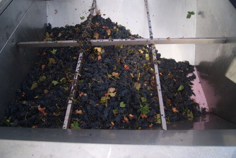 From San Sebastian/Bilbao/Vitoria: La Rioja Wineries Tour - Practical Details and Booking Flexibility