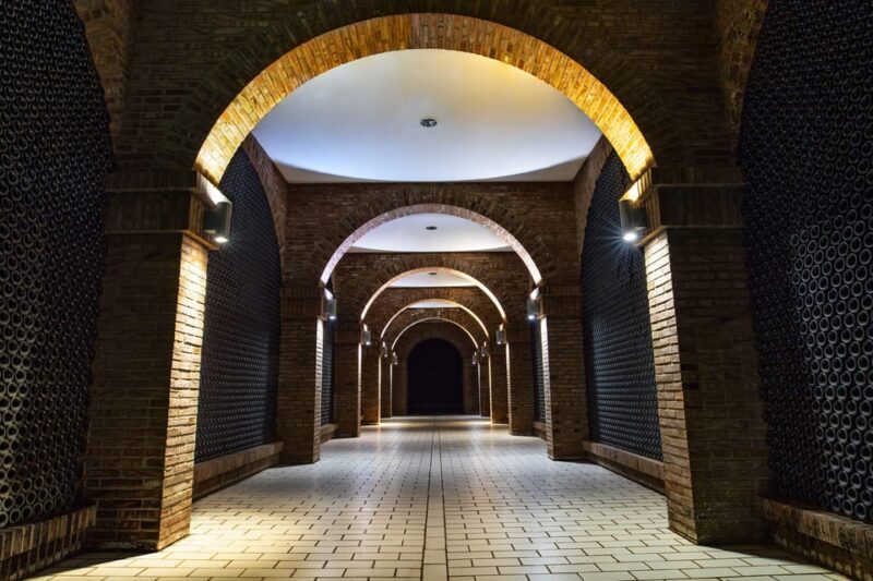 From San Sebastian/Bilbao/Vitoria: La Rioja Wineries Tour - Limitations and Considerations