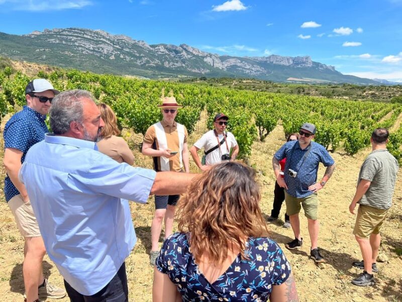 From San Sebastian/Bilbao/Vitoria: Rioja Wine Tour w/ Lunch - Comparison to Other Rioja Tours