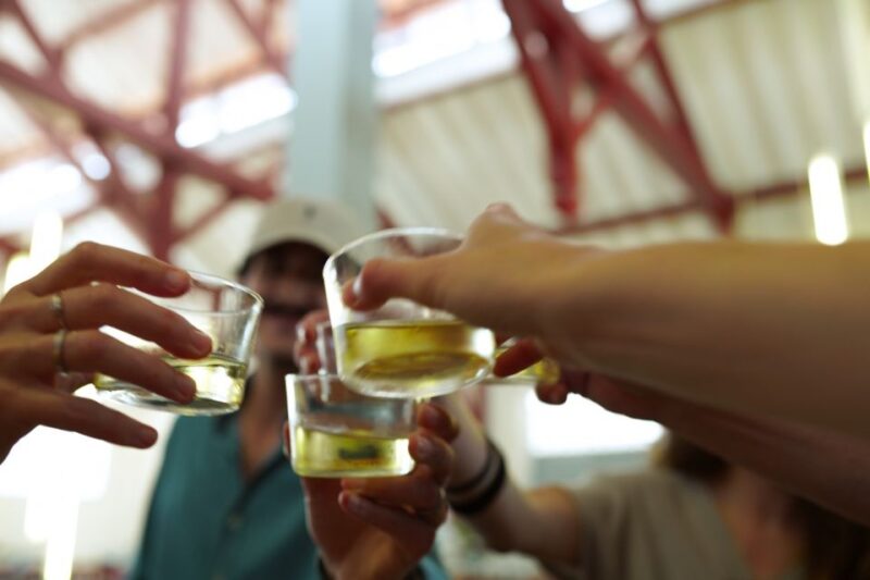 From San Sebastian: Flavors of French Basque Country Tour - Hondarribia’s Colorful Fishing District and Bay Views