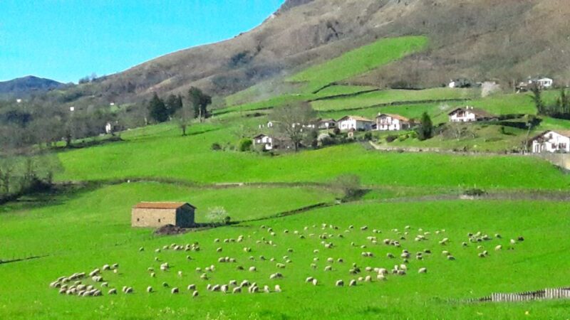 From San Sebastian: French-Basque Countryside Private Tour - The Scenic Drive to Bidarray and the Famed Pass Du Roland