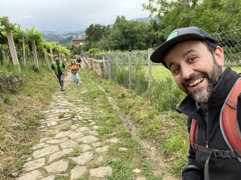 From San Sebastian: Guided Coastal Hike with Winery Tasting - Key Points