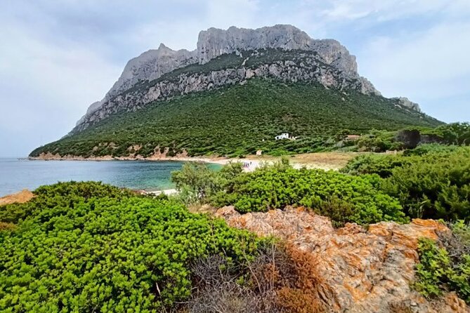 From San Teodoro Mini Tour of the Tavolara Archipelago - Key Points
