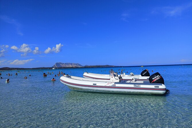 From San Teodoro Mini Tour of the Tavolara Archipelago - Disembarking at Tavolara Island and Cala Tramontana