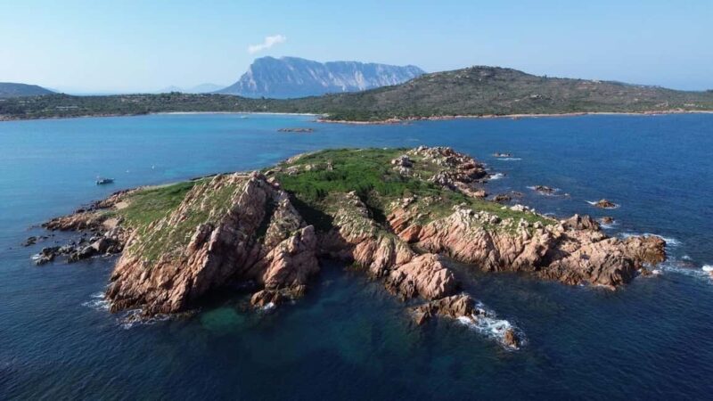 From San Teodoro: snorkeling in Tavolara and Molara - Suitable Participants and Physical Requirements