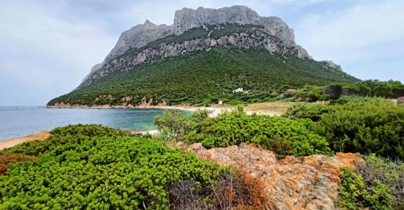 From San Teodoro: Tavolara Archipelago Dinghy Mini Tour - Exploring the Oven Cave of Proratora Island