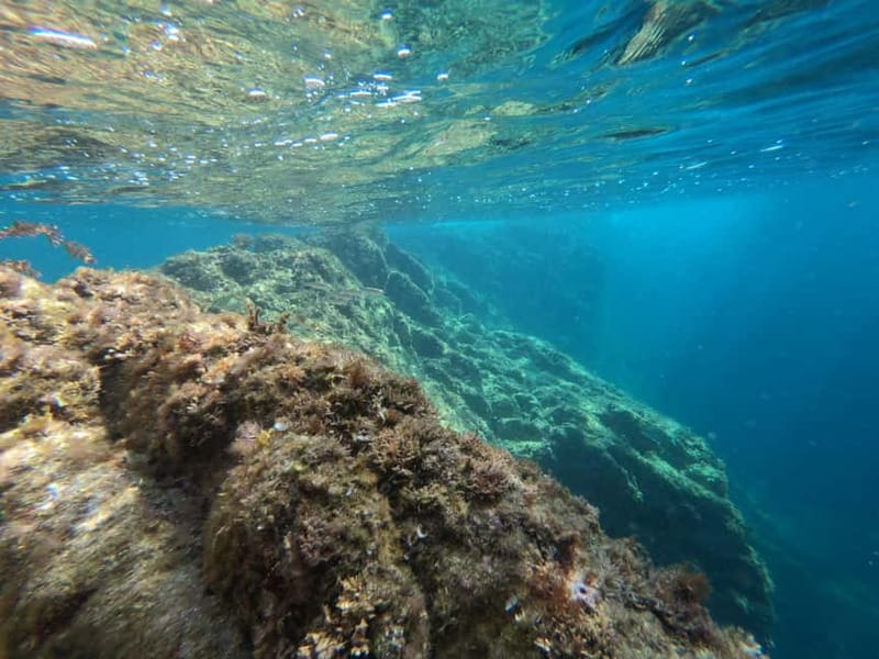 From Sant Feliu de Guíxols: Kayak and Snorkel in Costa Brava - Logistics and Practical Tips for Participants