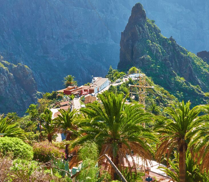 From Santa Cruz de Tenerife: Masca & Garachico Private Trip - Comfortable Transportation and Expert Guidance