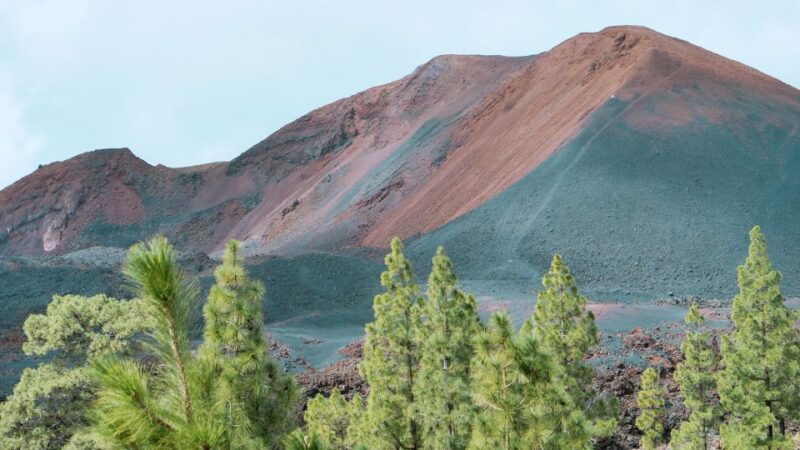 From Santa Cruz: Teide Volcano, Icod, & Garachico Tour - Strolling Through La Laguna’s Historic Old Town