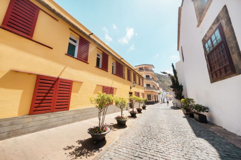 From Santa Cruz: Teide Volcano, Icod, & Garachico Tour - Physical Requirements and Accessibility