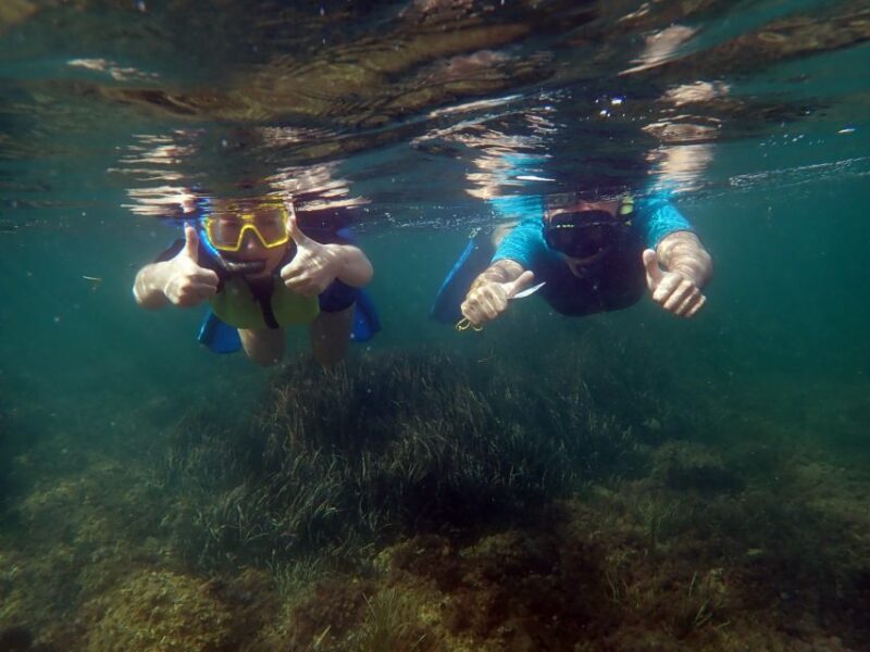 From Santa Pola: Snorkel Trip in Tabarca Island - Personal Attention and Small Group Experience