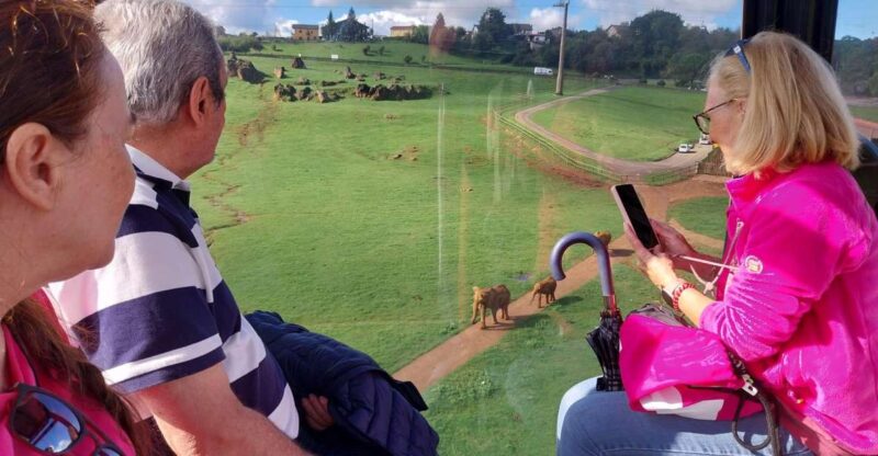 From Santander: Cabarceno Natural Park Half-Day Trip - Visiting Cabarceno Natural Park with a Guide