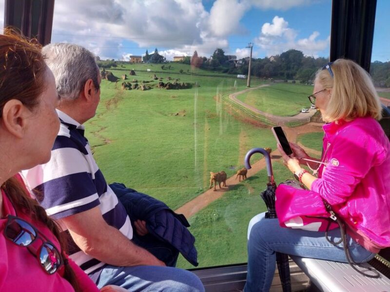From Santander: Cabarceno Natural Park Half-Day Trip - The Scenic Cable Car Ride Over the Park