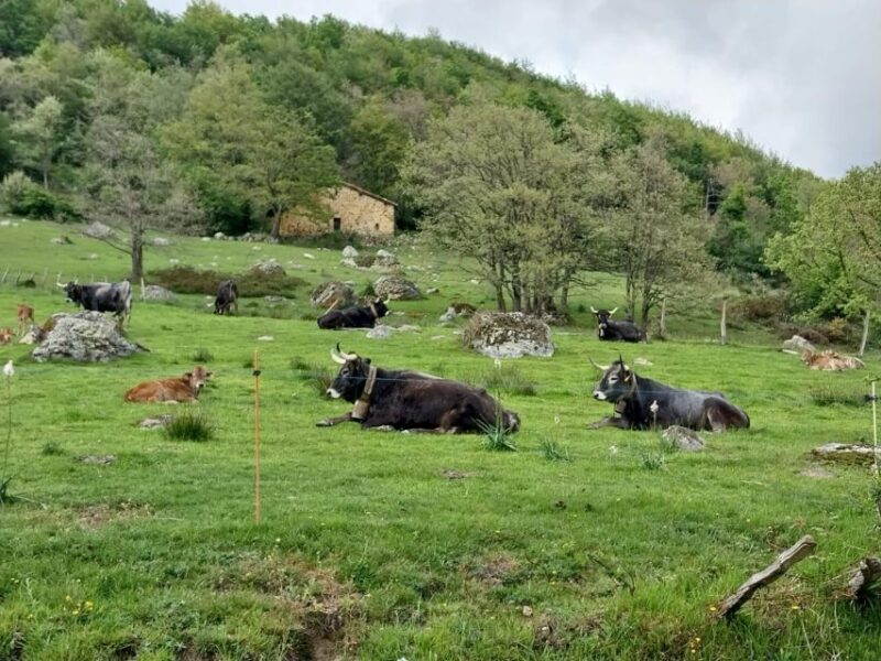 from Santander: Fascinating Saint Sebastian of Garabandal - Practical Details: Meeting Points and Group Size