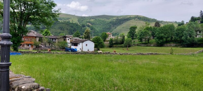 From Santander: Gastronomic Tour - Key Points