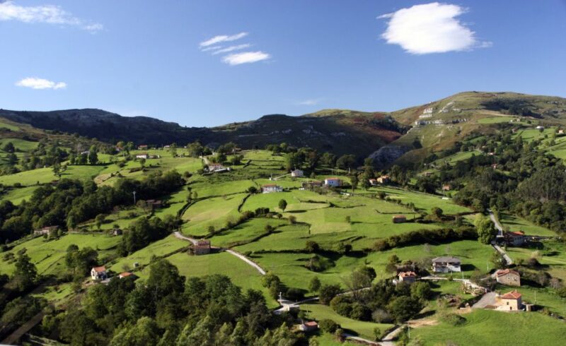 From Santander: Gastronomic Tour - Discovering Santoña’s Fishing Heritage and Anchovy Production
