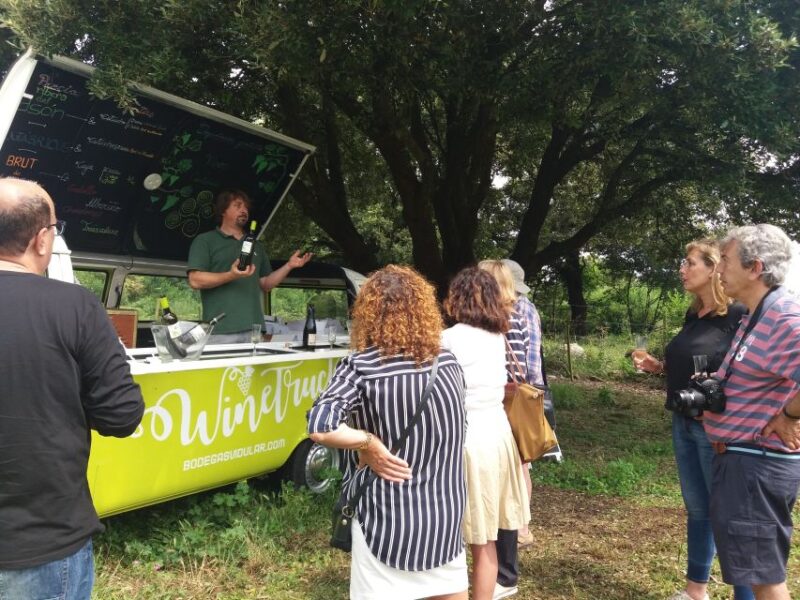 From Santander: Gastronomic Tour - Tasting Cantabrian White Wine at the Bodegas Vidular Vineyard