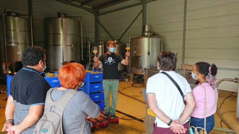 From Santander: Gastronomic Tour - Stunning Views from Mirador de la Braguia