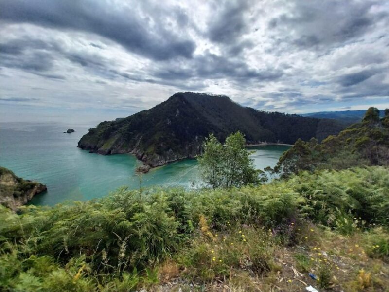 From Santander or Torrelavega: Soplao Cave Excursion - Practical Details and What to Bring