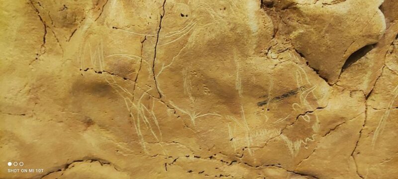 From Santander: Santillana del Mar & Altamira Museum Tour - In-Depth Tour of Santillanas Historic Center