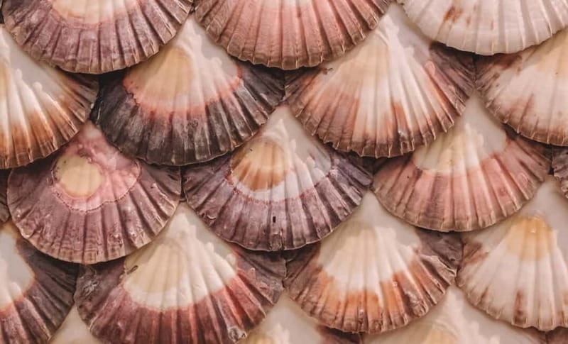 From Santiago: Rías Baixas Tour with boat trip and winery - A Lanzada Hermitage and Coastal Legends