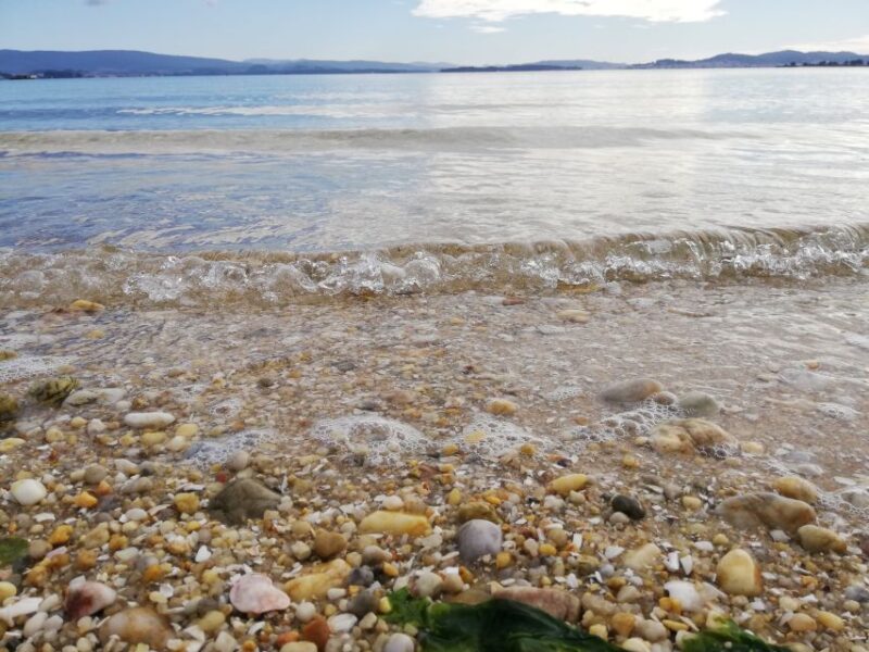 From Santiago: Tour Rias Baixas, Isla de Arousa y Combarro - Practical Details and Tour Logistics