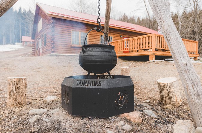 From Sap to Syrup: A Tasty Guided Maple Production Tour - The Guided Tour: From Tree to Bottle