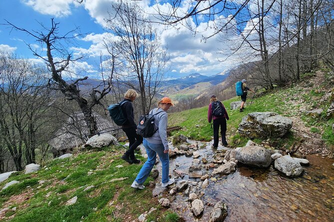 From Sarajevo: Full-Day Hike to Lukomir Village - Why Choose This Tour