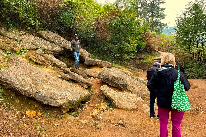 From Sarajevo: Visoko And Bosnian Pyramid Mistery - The Park Ravne 2: A Natural and Archaeological Marvel