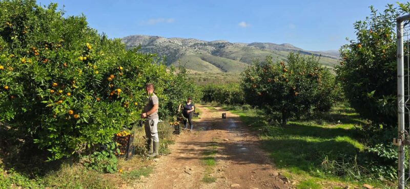 From Saranda To Konispol & Mursi by Vivari Channel - Key Points