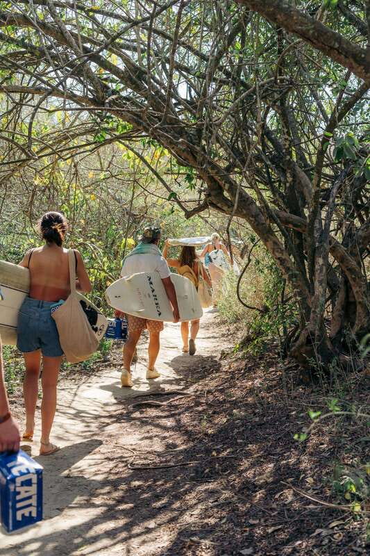 From Sayulita: La Lancha Surf Trip w/ Transportation - Transport Through Lush Jungle and Mangroves