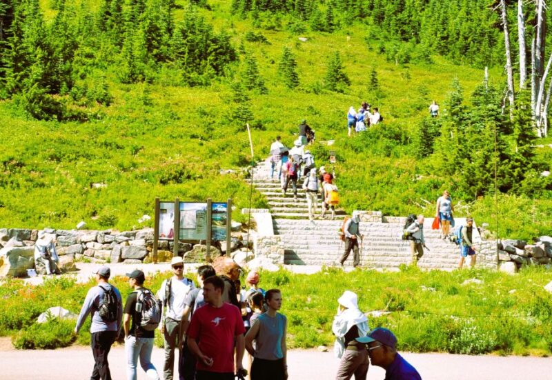 From Seattle: Customized Mount Rainier Tour - Key Points