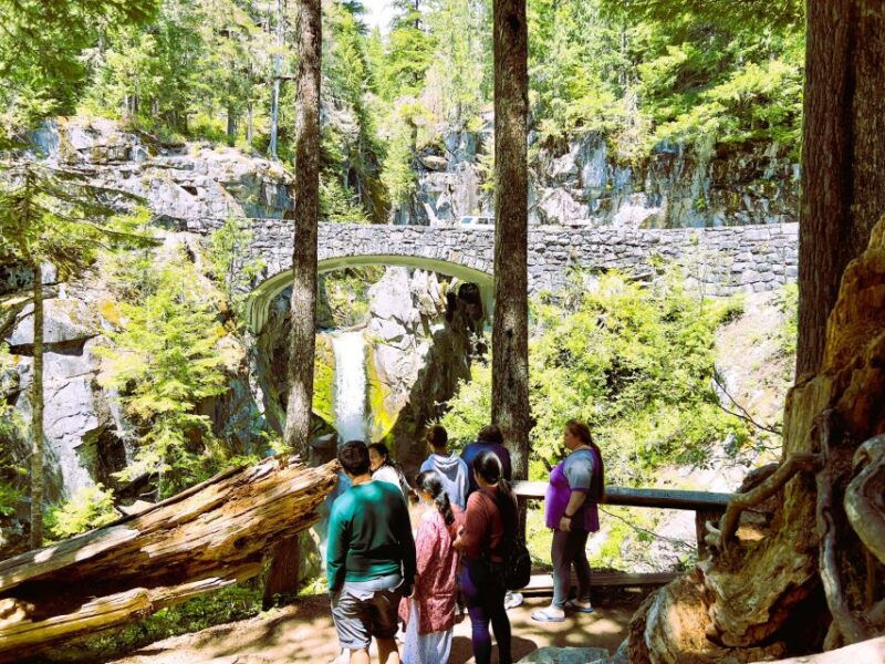 From Seattle: Customized Mount Rainier Tour - Mount Rainiers Scenic Drive and Natural Beauty