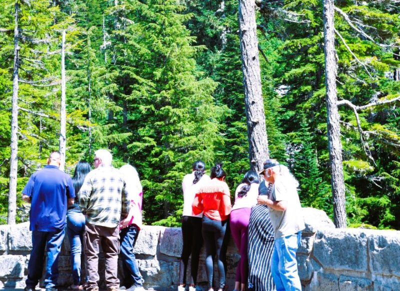 From Seattle: Customized Mount Rainier Tour - Value for Money and Customer Satisfaction