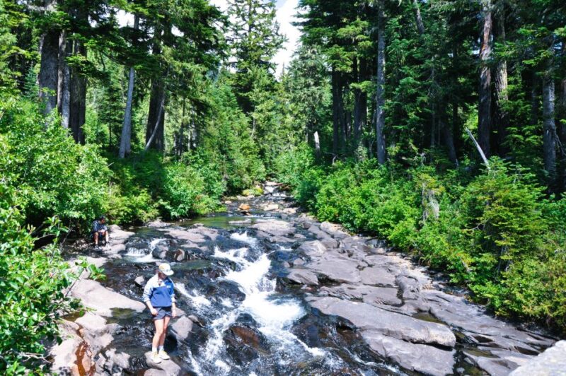 From Seattle: Customized Mount Rainier Tour - Final Reflections on the Mount Rainier Experience