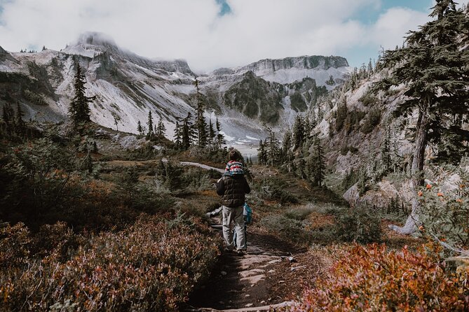 From Seattle - Enchanting Mt Baker and Cascades Tour in SUV - Key Points