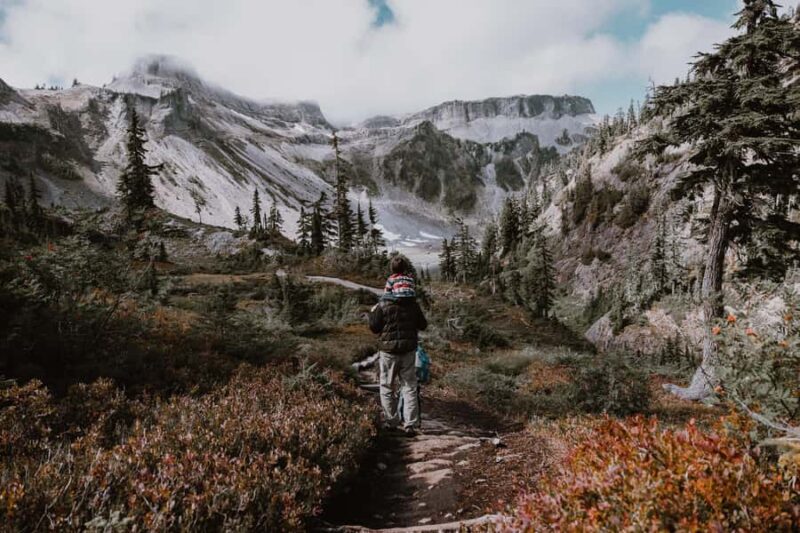 From Seattle - Enchanting Mt Baker & Cascade mountains tours - Discovering Bellingham’s Art Scene and Small-Town Charm