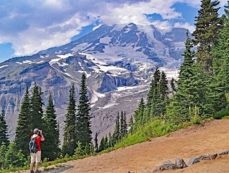 From Seattle: Full-Day Mt Rainier National Park Tour - Mount Rainiers Stunning Panoramic Views and Iconic Profile