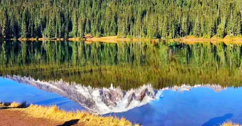 From Seattle: Mount Rainier Guided Day Tour - Practical Details: Pickup, Transportation, and Group Size