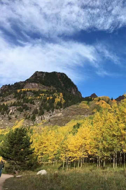 From Seattle: Mount Rainier National Park 1-Day Tour - Accessibility and Physical Requirements