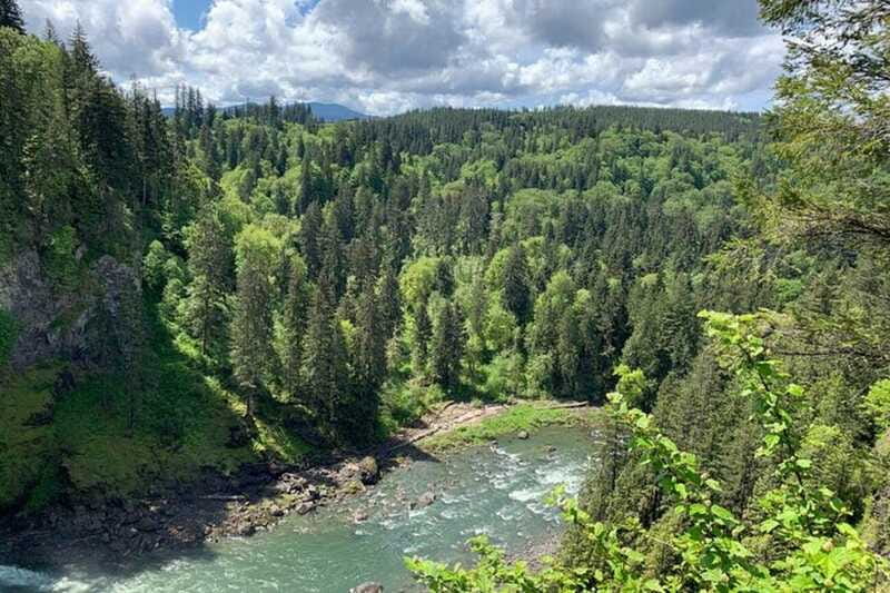 From Seattle: Pacific Northwest Waterfalls & Hiking Tour - Physical Requirements and Accessibility