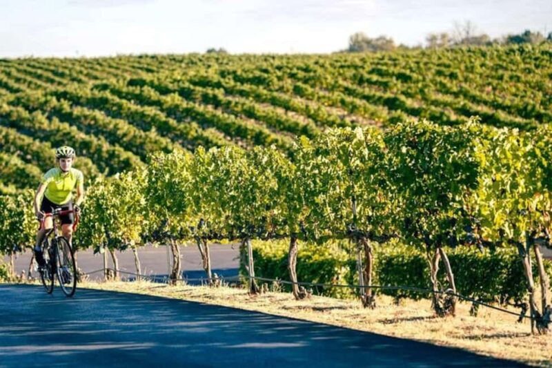 From Seattle - Wine Tasting, Vineyards in Eastern WA - Wine Tasting and Optional Food Pairings at VanArnam